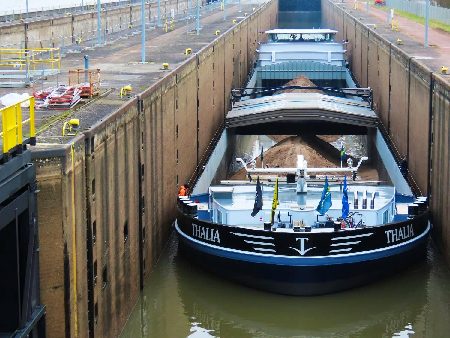 Thalia — thumbnail 4